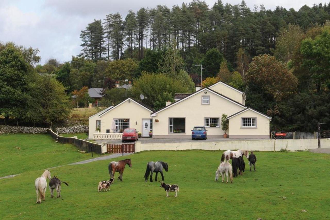 Muckross Riding Stables Βίλα Κιλάρνεϊ Εξωτερικό φωτογραφία