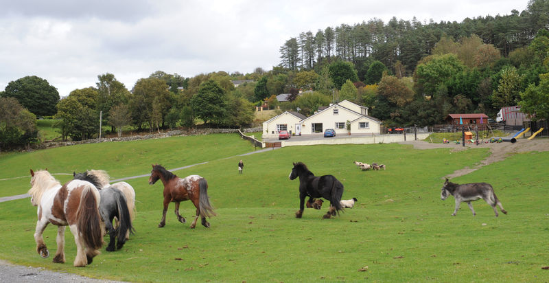 Muckross Riding Stables Βίλα Κιλάρνεϊ Εξωτερικό φωτογραφία